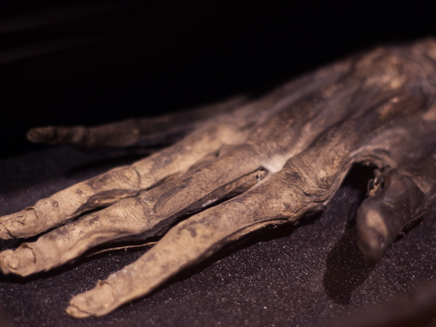 Olde English Folklore : The Hand of Glory