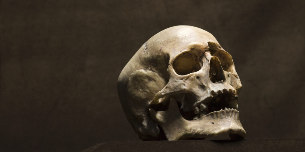 5 of the Strangest Skulls Ever Discovered